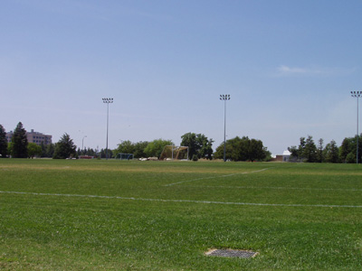 Dairy field